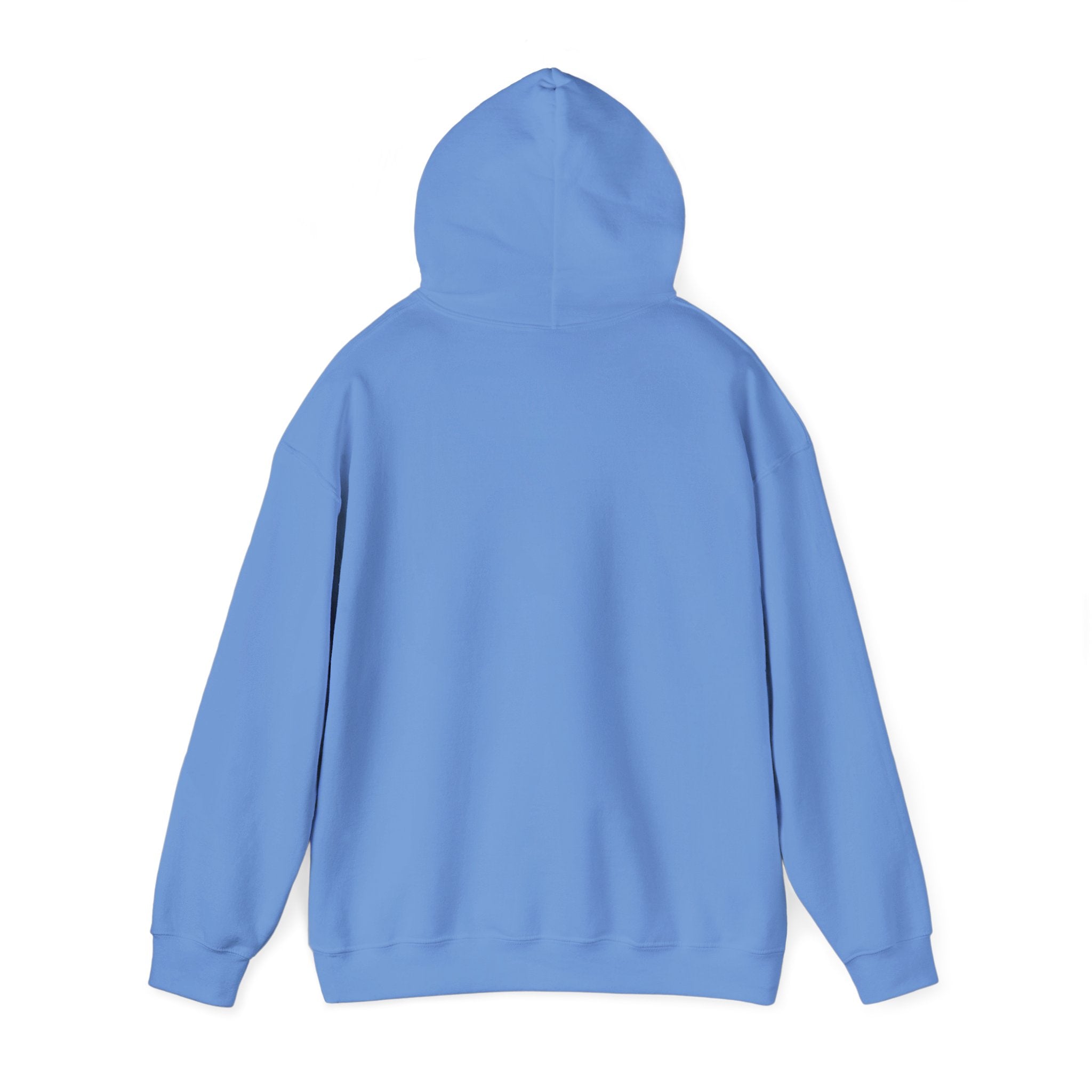 Lost Youth Graphic Hoodie — London Bridges Collection Vintage Art Streetwear