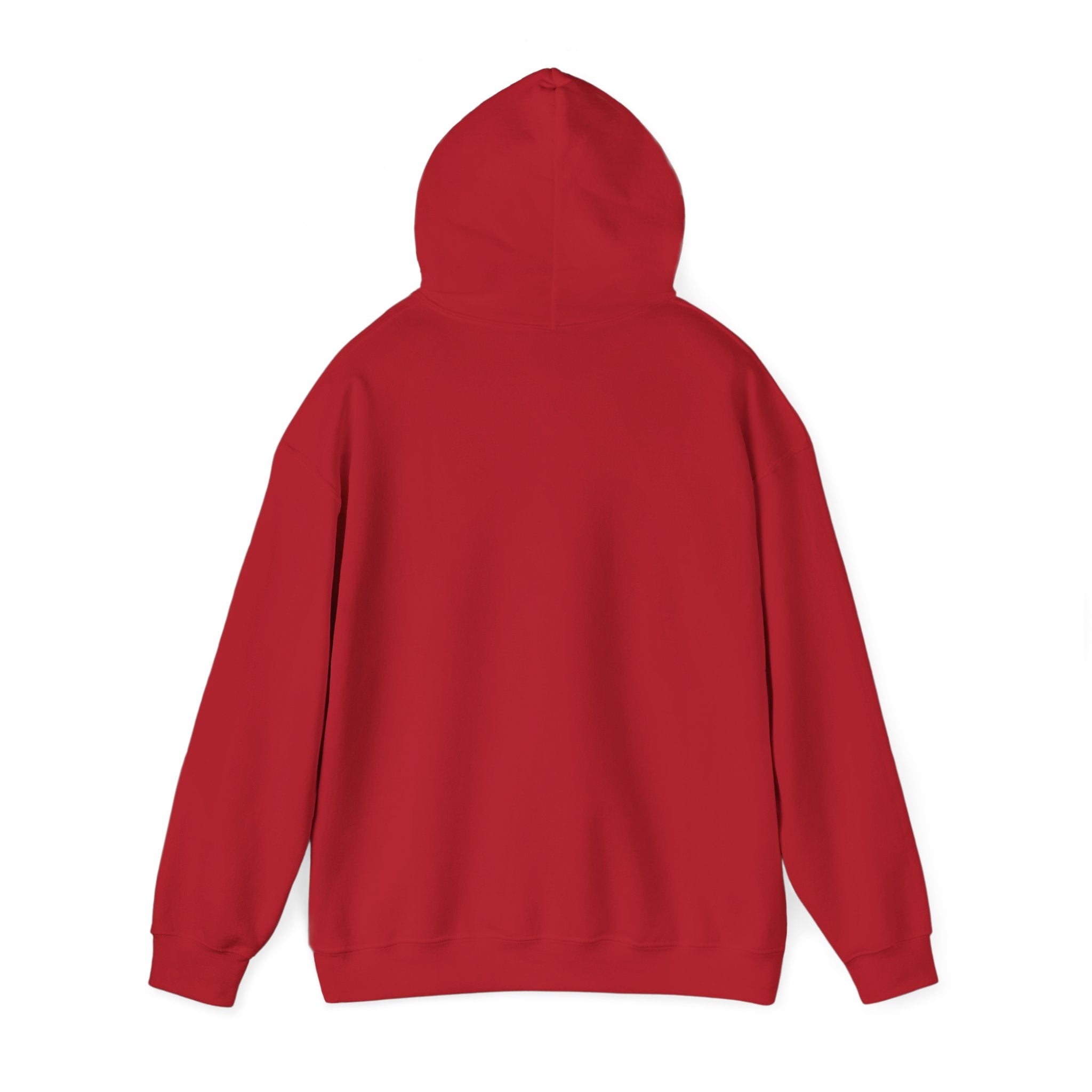Lost Youth Graphic Hoodie — London Bridges Collection Vintage Art Streetwear
