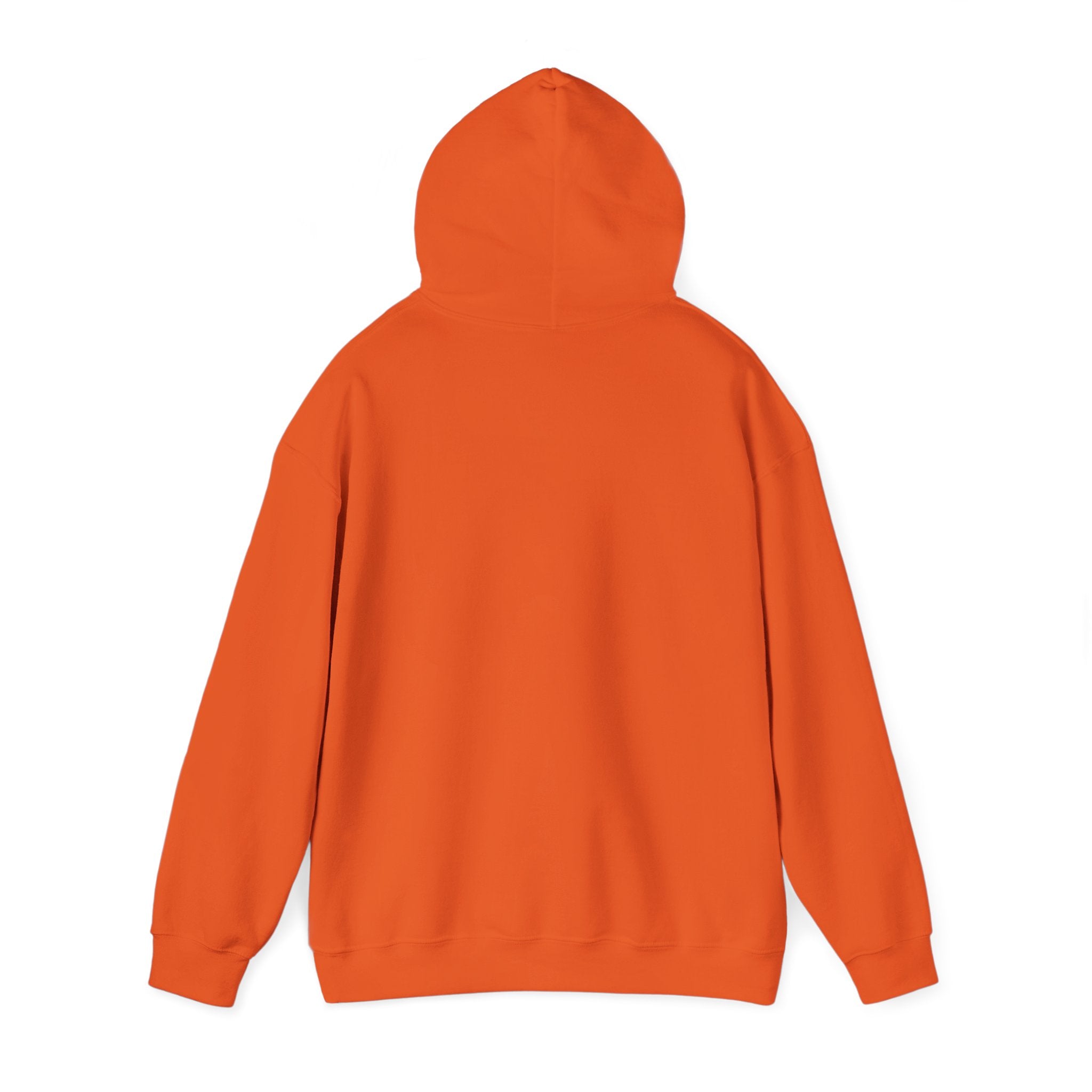 Lost Youth Graphic Hoodie — London Bridges Collection Vintage Art Streetwear