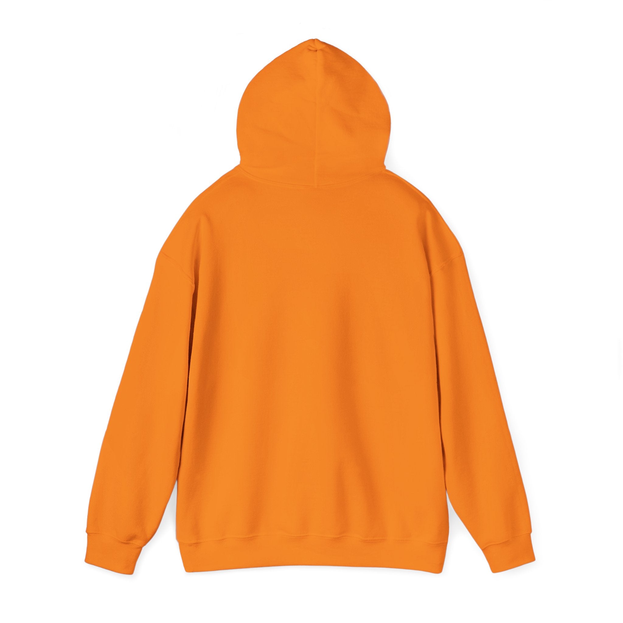 Lost Youth Graphic Hoodie — London Bridges Collection Vintage Art Streetwear