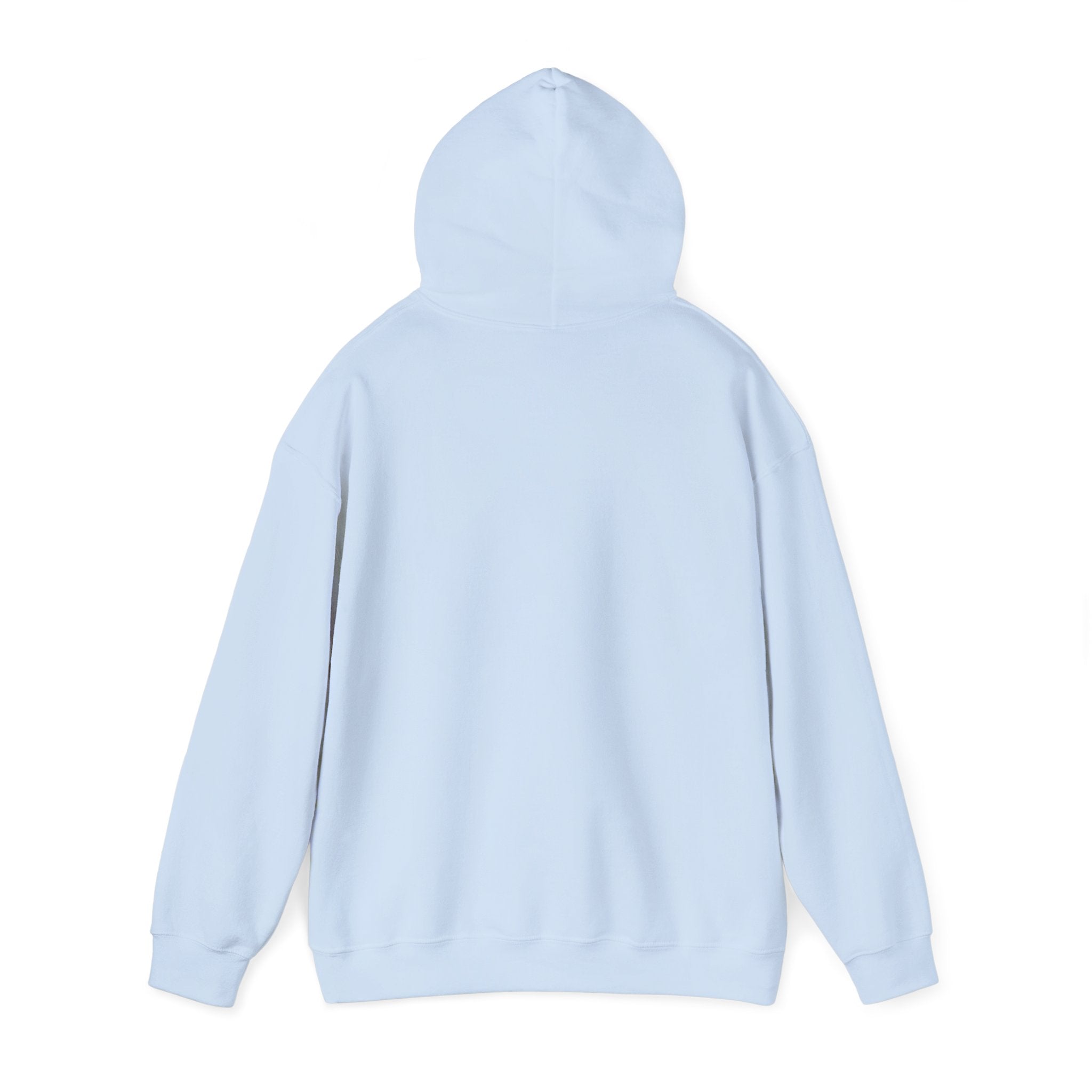 Lost Youth Series Unisex Heavy Blend™ Hooded Sweatshirt